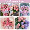 DIY SC0033 14A 6