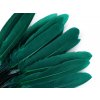 Kachní peří délka 9-14 cm (Balení 1 sáček, Varianta 10 černá)