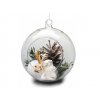 Aerárium / skleněná koule Ø8 cm (Balení 1 ks, Varianta 3 transparent)