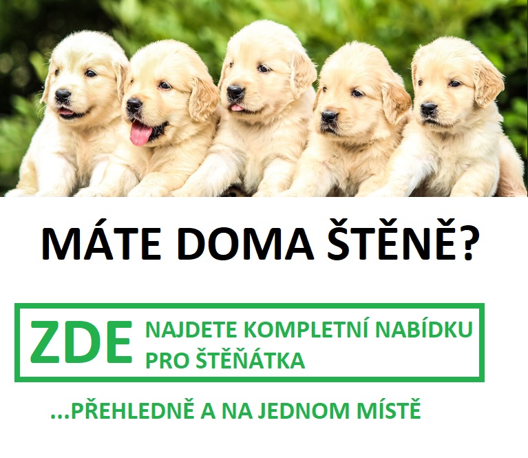 Štěňata