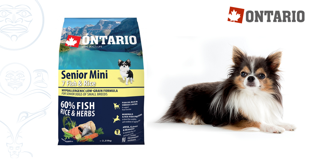 ontario-senior-mini-fish-rice