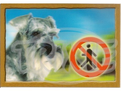 3D tabulka různé druhy (Typ. Jorkšír)