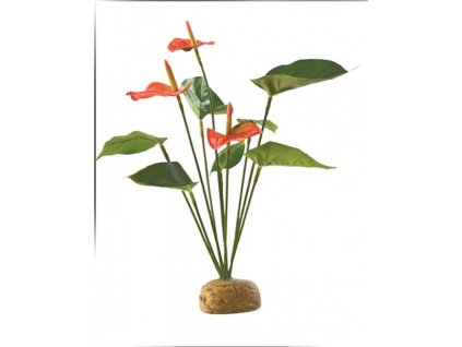 Rostlina EXO TERRA Anthurium Bush