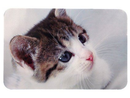 Prostírání pro kočku pod misky fotka kočky 43x28 cm