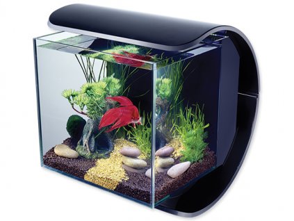 Tetra Silhouette LED Aquarium 12 l