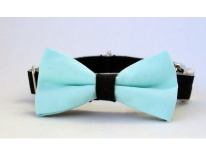 collars mint