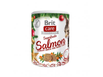 Brit Care Cat Christmas Superfruits 100 g