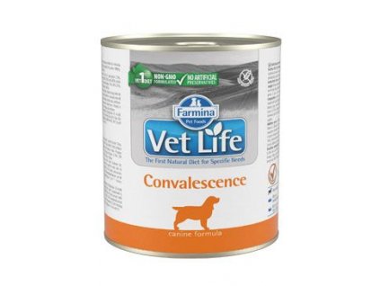 Vet Life Natural Dog konz. Convalescence 300g