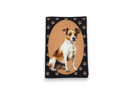 Jack Russel (1)