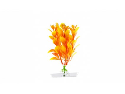 9601 1 orange ludwigia mini 13 16 cm