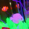 Dekorace Discus