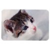 Prostírání pro kočku pod misky fotka kočky 43x28 cm