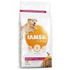 IAMS Dog Senior Large Chicken