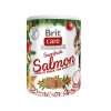 Brit Care Cat Christmas Superfruits 100 g