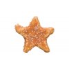 Xmas Denta Fun Chicken Star