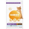 IAMS Cat Kitten Ocean Fish 2kg