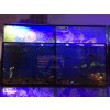 7702 bazar akvarium 230 l 2 sekce
