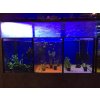 7705 bazar akvarium 230 l 3 sekce