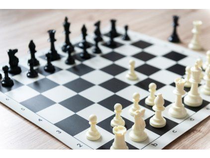 6153 6153 sachova suprava velka