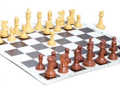 7457 7 sachova suprava senator