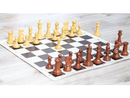 7457 3 sachova suprava senator