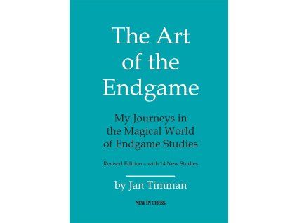 8234 the art of the endgame