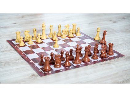 8474 3 sachova suprava metropolitan