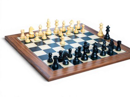 8486 6 sachova suprava dynasty deluxe