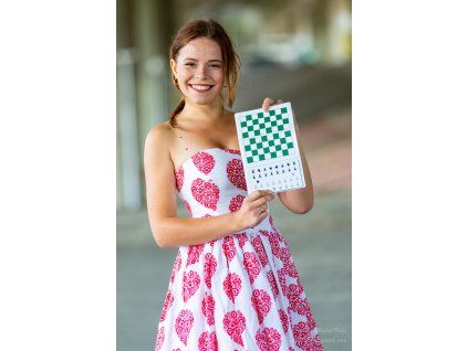 2210 1 magneticky vreckovy cestovny sach