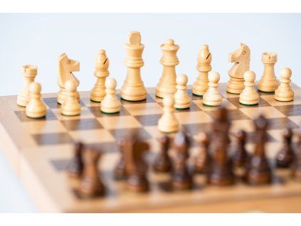 2261 7 dreveny sach knieza