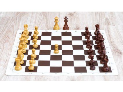 8954 3 sachova suprava dynasty