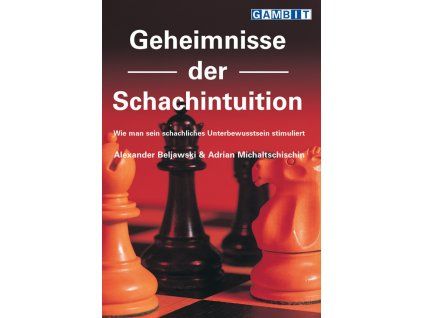 7784 Geheimnisse der Schachintuition Big