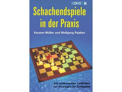 7821 Schachendspiele in der Praxis Big