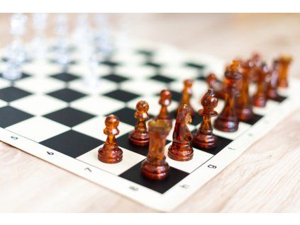 3491 5 priehladna sachova suprava