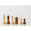 4267 1 sachove figurky caissa extra stredne