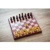 Schach Dame magnetisch