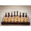 Schach Dame magnetisch