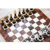 5824 8 5824 8 sachova suprava briar brest fantasy