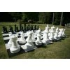 Chess pieces and board