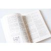 8315 2 sizilianisch mit 5 e7 e5