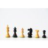 8676 drevene figurky ebony premium
