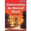 7776 Understanding the Marshall Attack Big