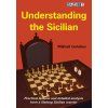 7778 Understanding the Sicilian Big