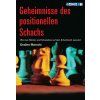 7816 Geheimnisse des positionellen Schachs Big