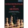 7822 Schachstrategie in Aktion Big