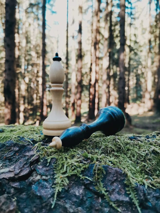 Die schönsten Sommermomente sind die, die wir gemeinsam verbringen ☀️💚♟️ Schach verbindet Generationen und schafft...