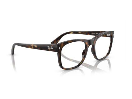 Ray Ban RX7228 2012 pic04
