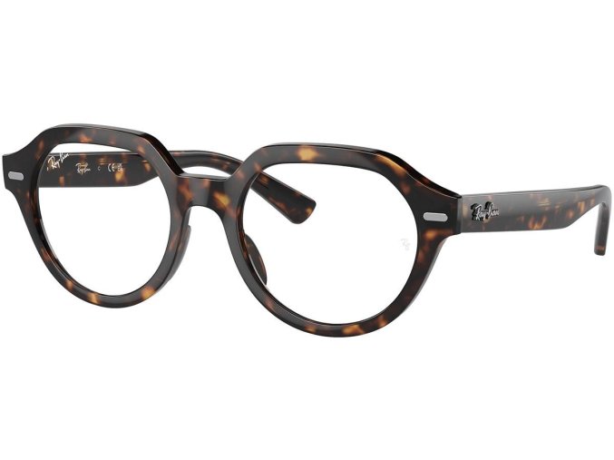 Ray Ban RX7214 2012, vel.51 01