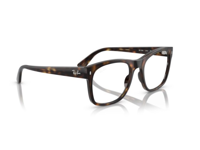 Ray Ban RX7228 2012 pic04