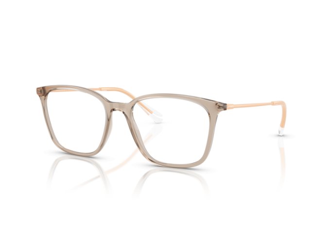 Armani Exchange AX3120 8366, vel.53